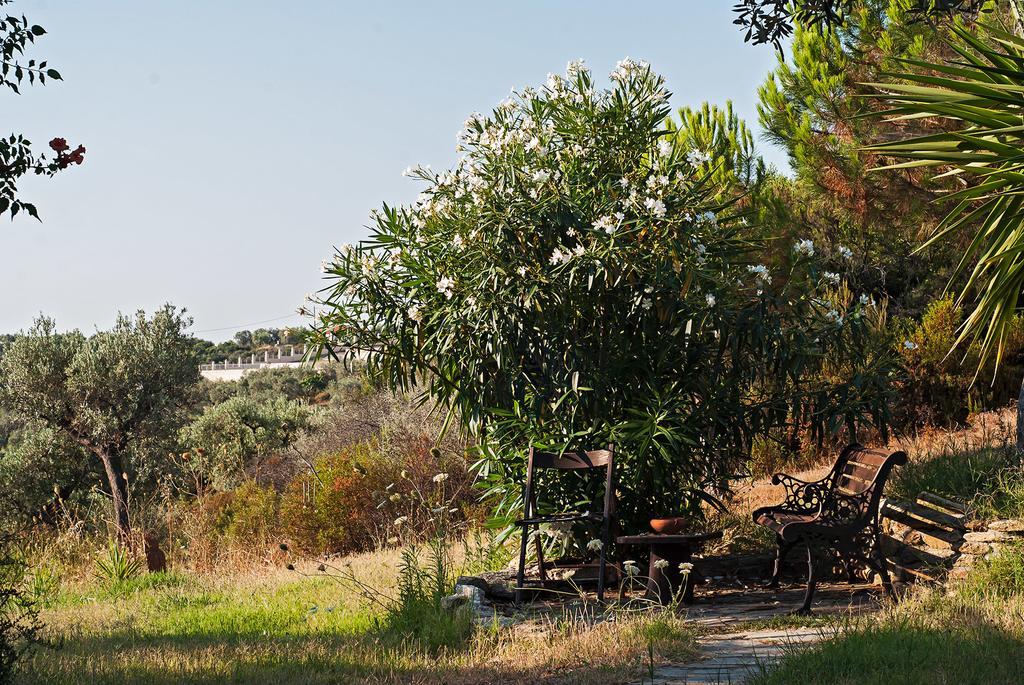 Kortiri Studios Agios Nikolaos  Exterior photo